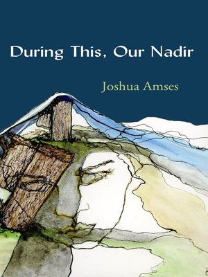 cover image of During This, Our Nadir